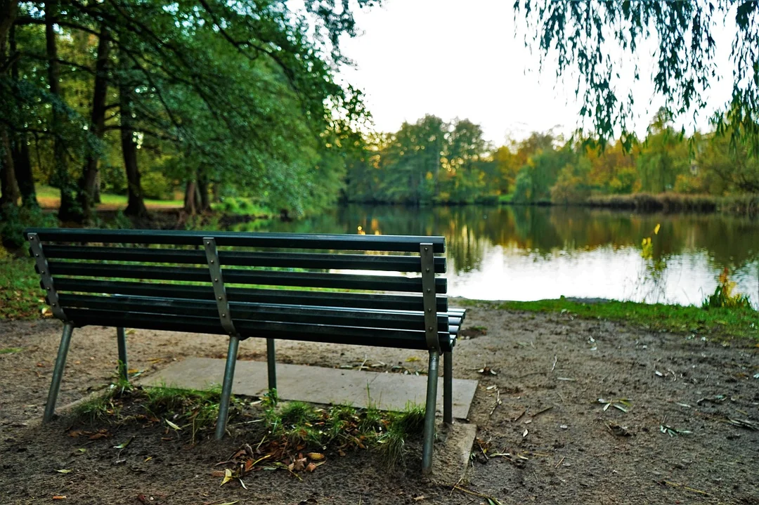Voicebot dla banku w praktyce - przypadki użycia - seat, bank, case, autumn, nature, lake
